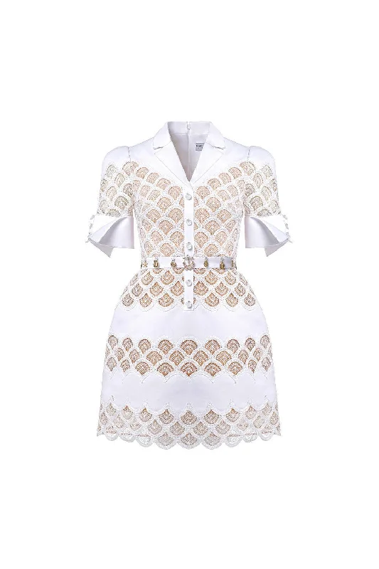 Erica A-line Leg Of Mutton Sleeved Lace Mini Dress